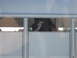 1989 Toyota Pickup/SR5 - A horse's head is visible through the open window of a white trailer.