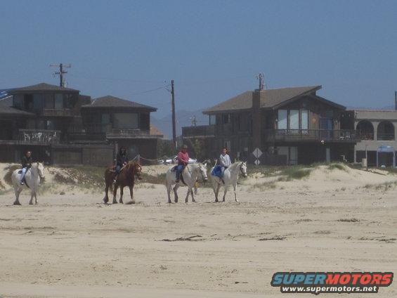 Four horses with riders on a sandy beach with houses in the background