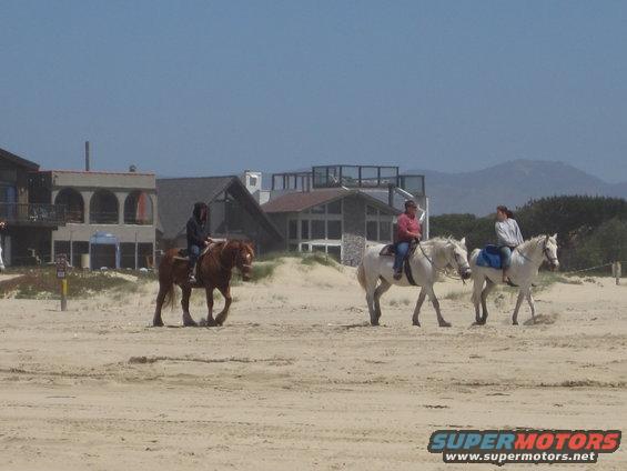 Three horses with riders on a sandy beach with houses in the background