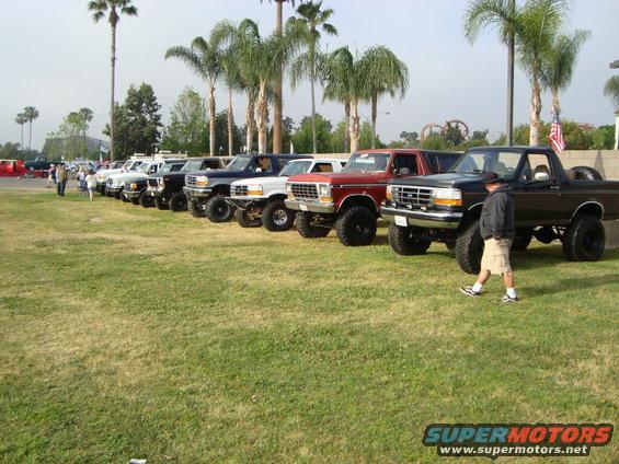 Line of lifted Ford Broncos and trucks parked on grass, some with custom bumpers and large tires