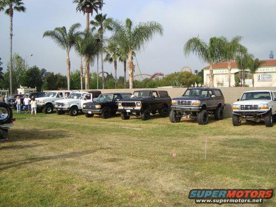 Several Ford Bronco SUVs and pickup trucks parked in a grassy field with palm trees and buildings in the background