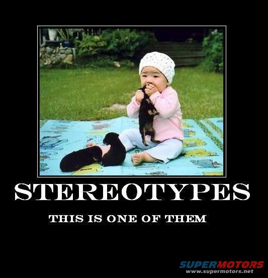 stereotypes.jpg 