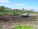 DSC01364.JPG