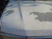 DSC01436.JPG