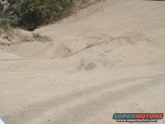 sandy dirt road with tire tracks and some vegetation