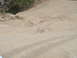 DSC01568.JPG