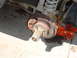 DSC01655.JPG