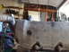 DSC01665.JPG