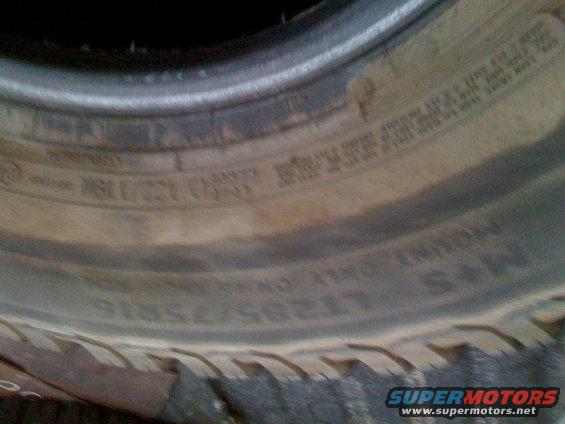 picture-063.jpg 