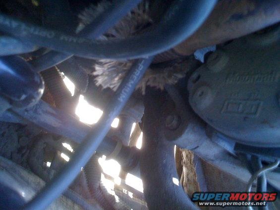 picture-119.jpg 