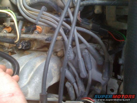 picture-267.jpg 