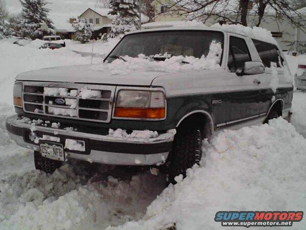 in-the-snow.jpg
