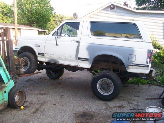 103_0935.jpg 23" still has the other three planted.