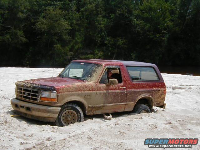 mudn-061.jpg It took 2 of us to get him out