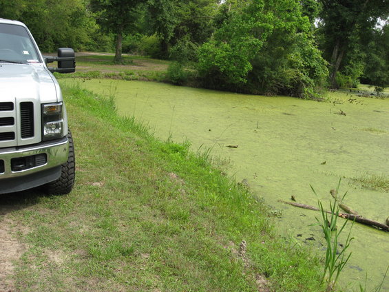 Front quarter view of a silver 2008 Ford F-250 parked next to a green, algae-covered pond