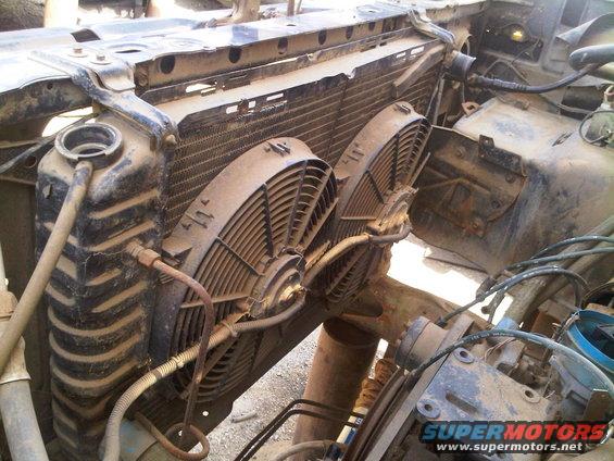 Radiator and dual electric fans in a vehicle engine bay. Some hoses and engine parts are visible