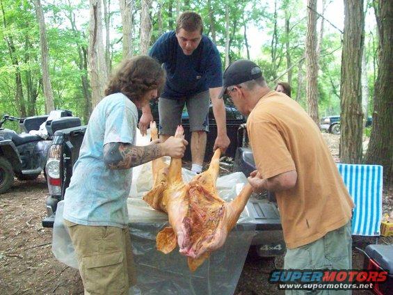 Truck bed with people holding a pig carcass, ATV in background