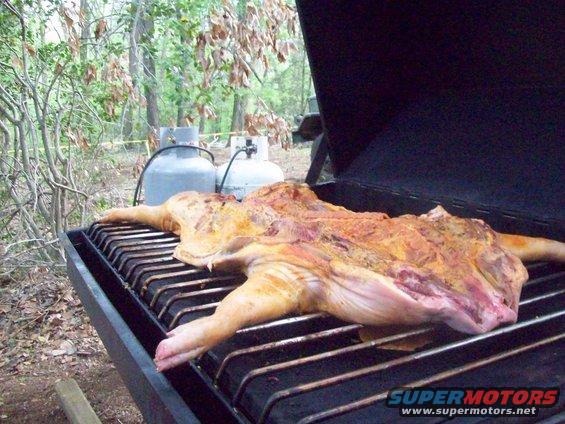 Whole pig on a grill with propane tanks in the background