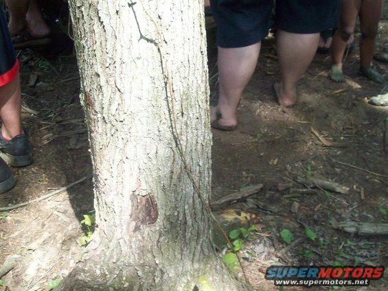 dangerfest-088.jpg 