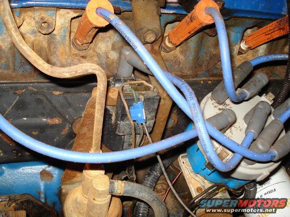 Engine wiring and distributor with blue spark plug wires and orange spark plug boots