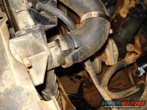 Radiator hose connection in 1985 Ford F-150 engine bay