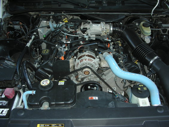 2004 Ford Crown Victoria engine bay with V8 engine, alternator, and coolant reservoir