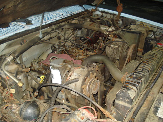 Engine bay with various components including alternator, radiator, and hoses