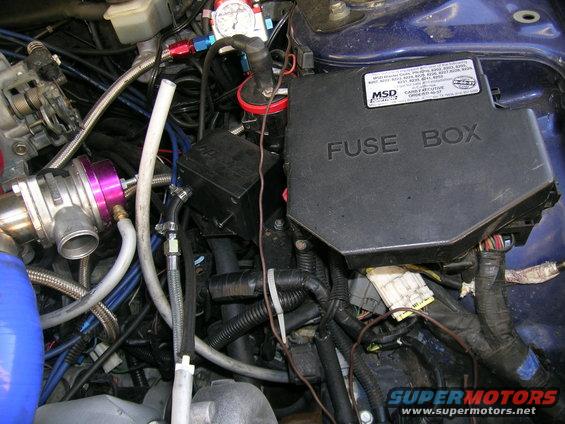 Engine bay with a black MSD fuse box, purple blow-off valve, and various hoses and wires
