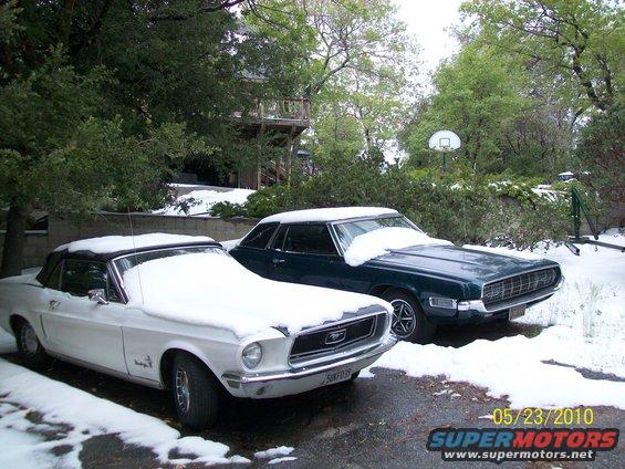 White convertible and dark coupe covered in snow. License plate visible on white car