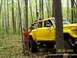 1979 Ford Bronco photo