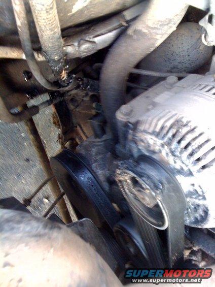 Engine belt and alternator with some fluid leakage
