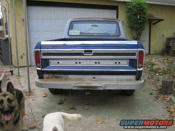 Rear view of a blue Ford pickup truck with a diamond plate bumper. Two dogs are in the foreground