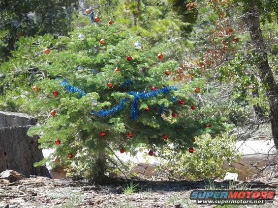 Decorated Christmas tree in a wooded area with red and silver ornaments and blue tinsel