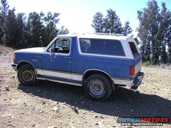 1989 Ford Bronco, blue and white, parked on a dirt road with trees in the background