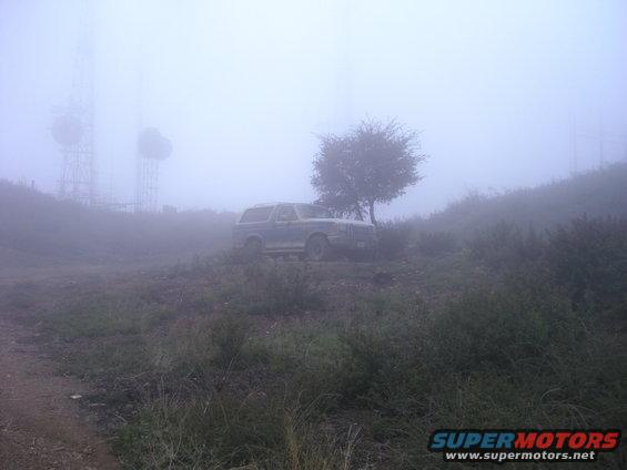 Ford Bronco parked on a hill with a tree and radio towers in the background, obscured by fog