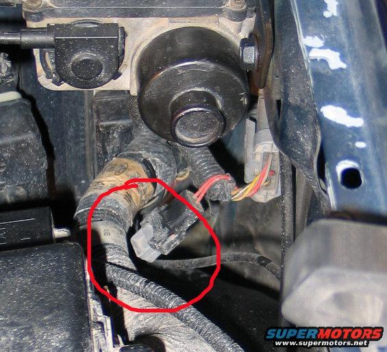 Close-up of a tangled wiring harness with a red circle around a connector. Some tape is visible on the harness