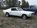 1968 Ford Mustang - A white 1968 Ford Mustang fastback is parked on a grassy field next to a dark blue pickup truck.