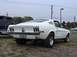 1968 Ford Mustang - The rear view of a white fastback coupe shows its distinctive taillights and a license plate.