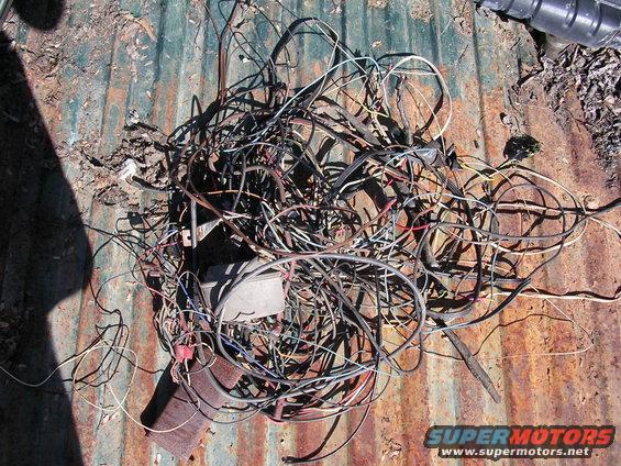 Tangled electrical wiring harness on a rusty metal surface