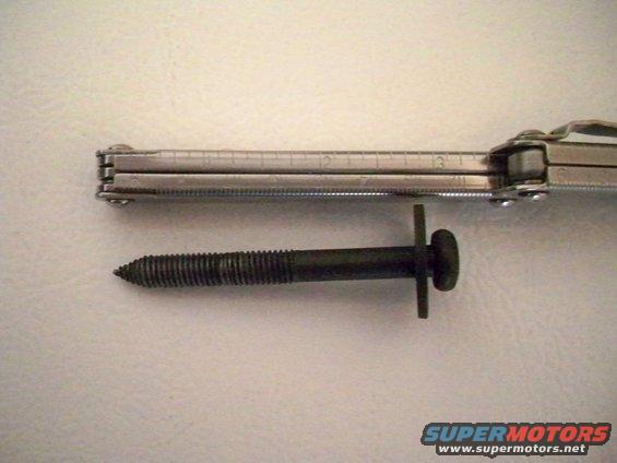 Bolt next to a multi-tool with ruler markings. The bolt is approximately 4 inches long