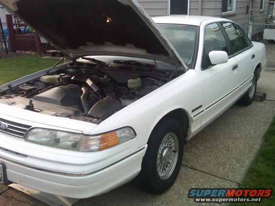 White 1994 Ford Crown Victoria with hood open, showing engine bay, parked on driveway