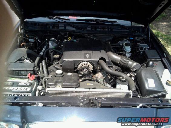 2003 Ford Crown Victoria engine bay with V8 engine, battery, and radiator visible