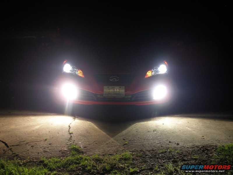 lo-and-fogs-on.jpg 