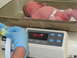 2001 Pontiac Trans Am - A newborn baby is weighed on a digital scale, with a gloved hand measuring.