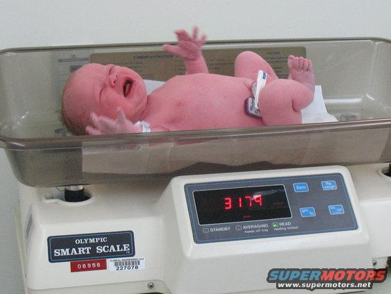 Newborn baby crying on a medical scale that reads 3179