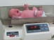 2001 Pontiac Trans Am - A baby is weighed on an Olympic Smart Scale, displaying a reading of 3179.