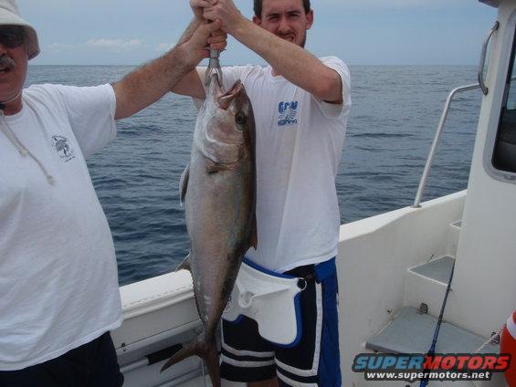 obx-09-part3-015.jpg 