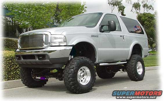2003_bronc_by_me.jpg 