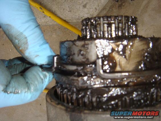 dsc02443.jpg 