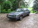 1985 Ford Mustang - A gray coupe sits on a wet gravel driveway surrounded by greenery.